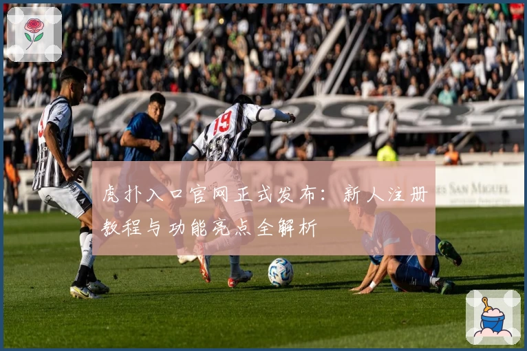 虎扑入口官网正式发布:新人注册教程与功能亮点全解析